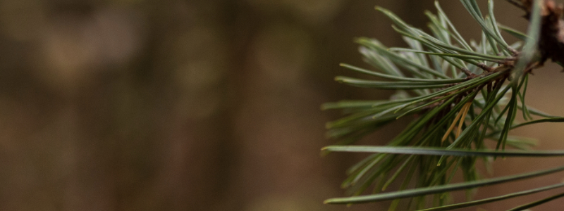 Das passende Geschenk - jetzt finden!