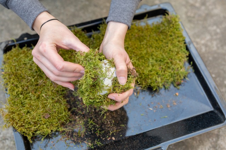 Mooskugeln-23wakERn0N1oqz2