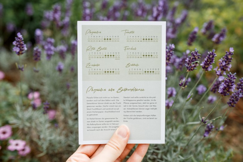 Saisonkalender-2WpJ3uDs7nlSK6