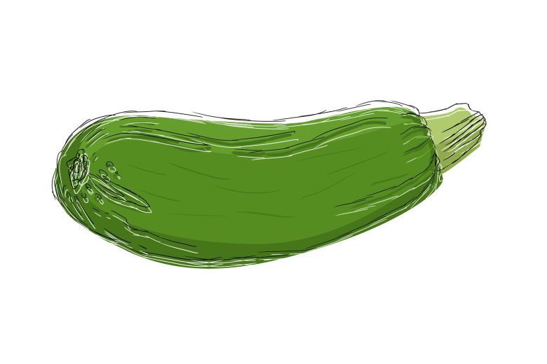 Zucchini