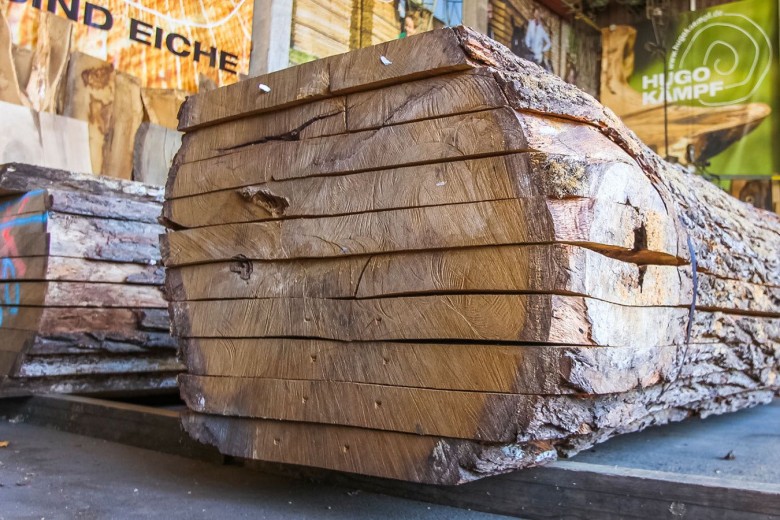 hugo-kaempf-holz