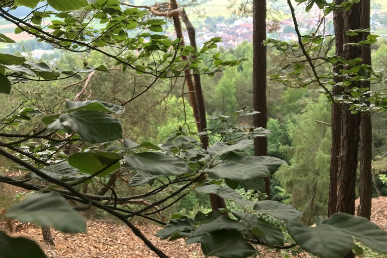 wertschaetzung-wertschoepfung